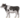 cow2