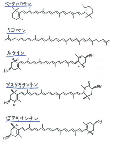 2016060931