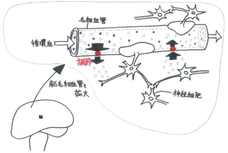 関門 通過 脳 血液