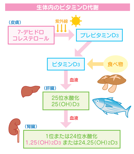 浮腫と自己免疫疾患