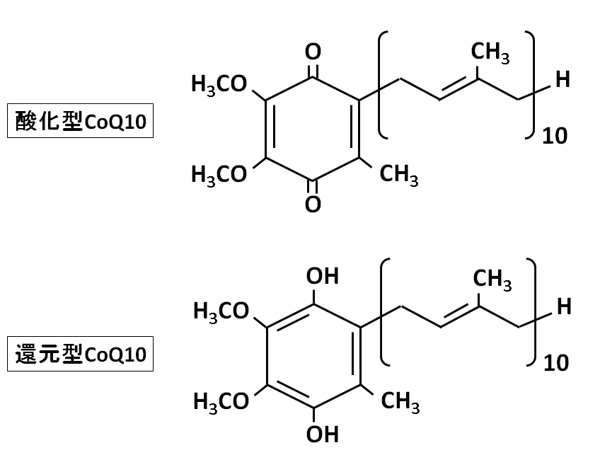 CoQ10は酸化型と還元型で違いがあるの？｜サプリメントのヘルシーパス