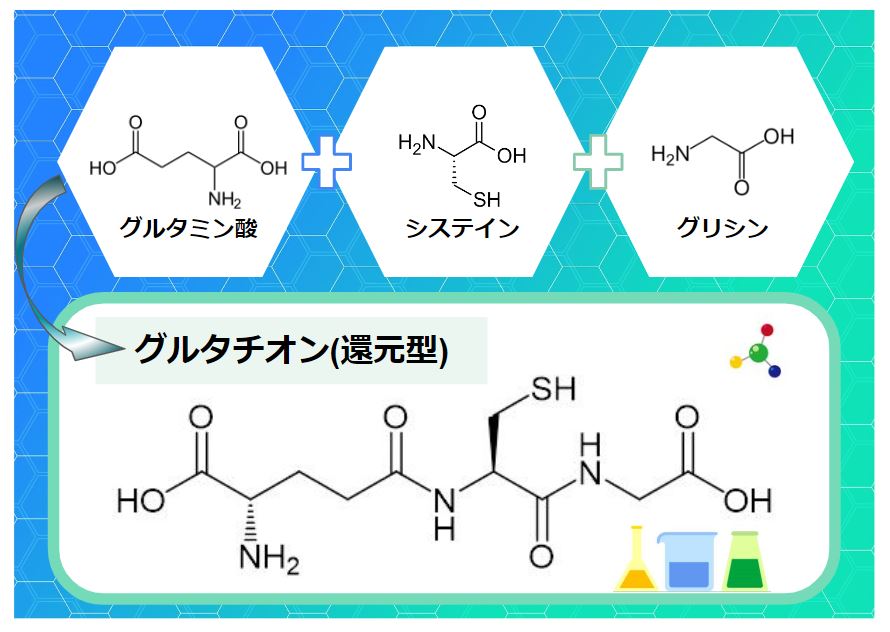 グルタチオン