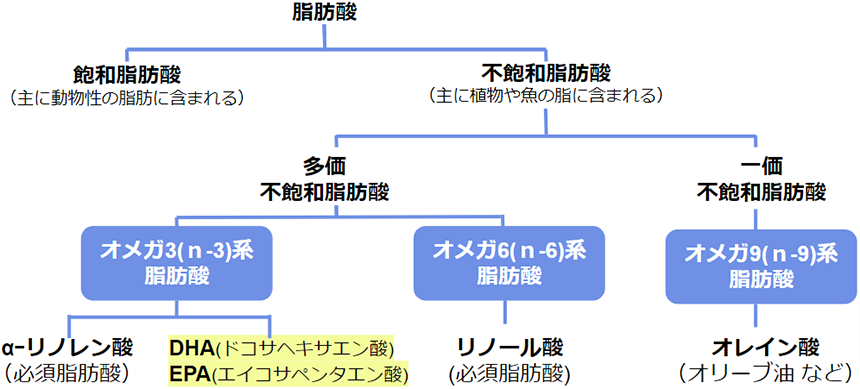 脂質の種類