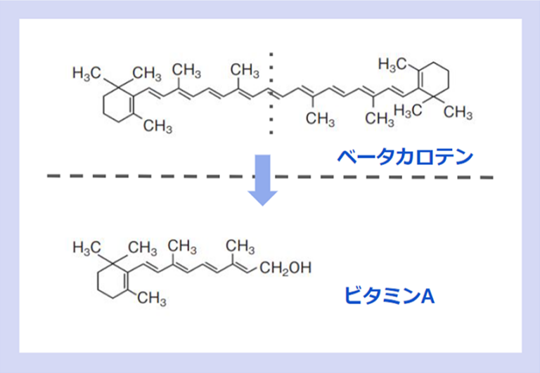 ベータカロテンはビタミンAの前駆体だと聞きました。体内で変換する必要がないビタミンAではなく、ベータカロテンを使用している理由を教えてください